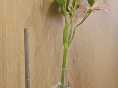 -常识咖啡common sense(春熙路店)