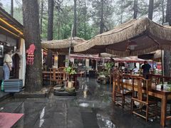 -小小饭店·休闲农庄·安吉松树林里的农家菜