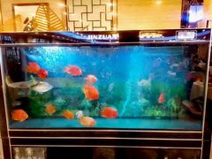 -潮喜竹溪荔湖酒家(荔枝湾店)