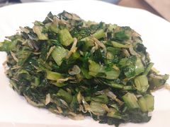 抄油麦菜-走马楼饭庄(慈城古县城店)