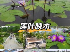 -上海植物园-4号门售票处