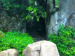 -金鸡山公园