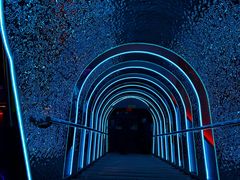 -胖子烧烤海鲜(亲贤北街店)