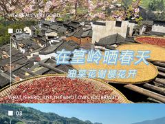-篁岭景区