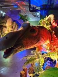 -恐龙探索乐园(磁器口店)