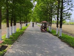 -嘉北郊野公园