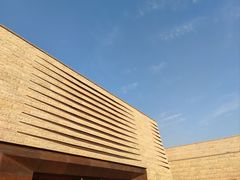 -盘龙城国家考古遗址公园