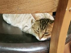 -H立方实景剧情密室(天河旗舰店)