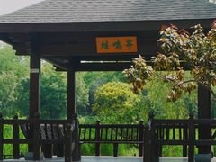 -大兴滨河森林公园