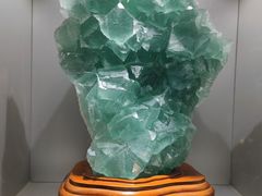 -甘肃地质博物馆