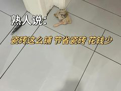 -大树装饰·十年本土家装