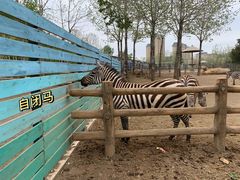 -大连森林动物园