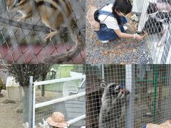 -玉苍山国家森林公园