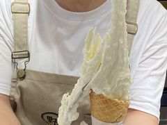 -野人先生Gelato(上海长宁龙之梦店)
