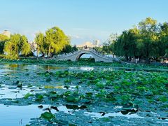 -长春市南湖公园