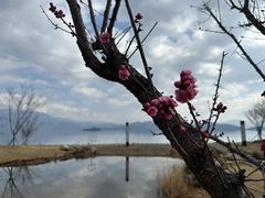 -丽江泸沽湖景区