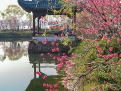 -无锡蠡湖国家湿地公园-蠡园
