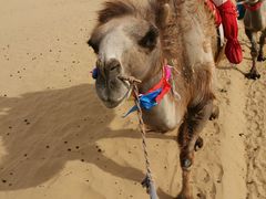 -银肯塔拉沙漠生态旅游景区