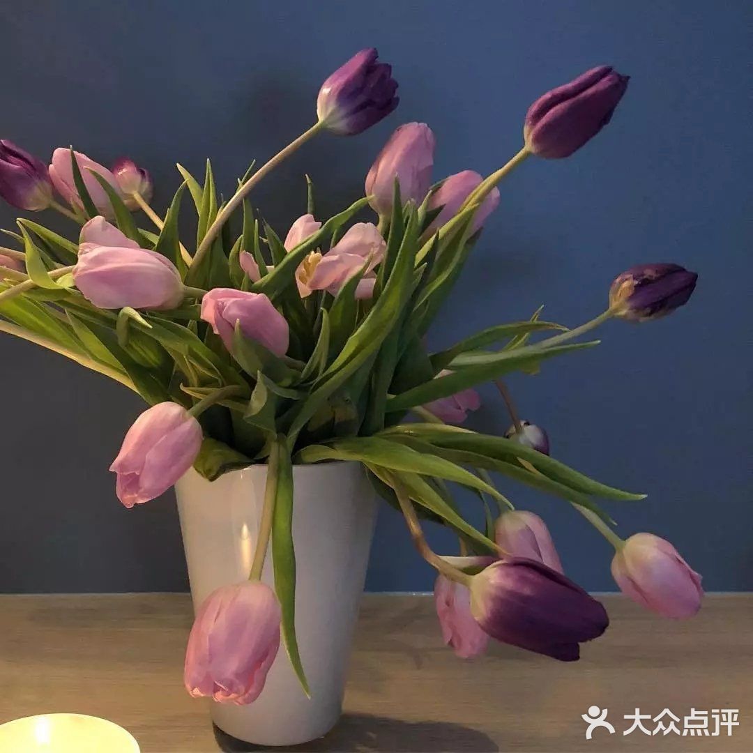 亭亭玉立郁金香🌷