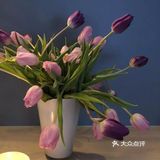 亭亭玉立郁金香🌷