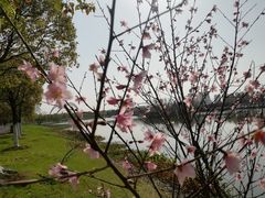 -艾溪湖湿地公园