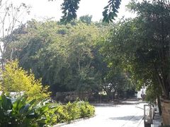 android_upload_pic-集美学村