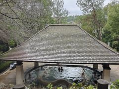 -天目湖涵田半山温泉