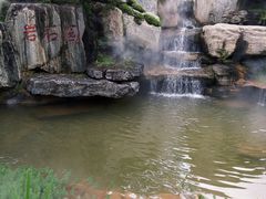 -东莞植物园