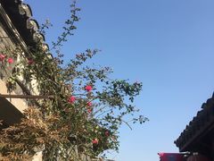 -水绘园