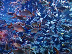 -成都浩海立方海洋公园