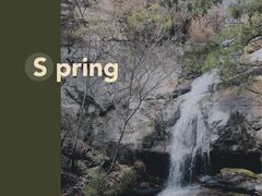 -王顺山国家森林公园