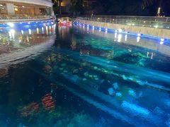 -海棠湾洲际-涛·海底餐厅·美人鱼·自助餐·海底隧道