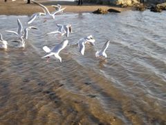 -老虎石海上公园