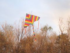 -绿堤公园