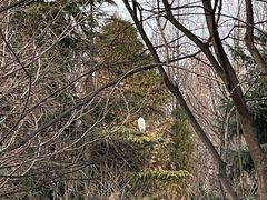 -洛阳市隋唐城遗址植物园