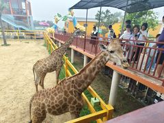 -西霞口神雕山野生动物世界