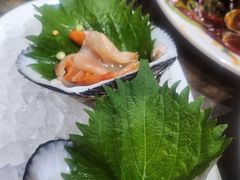 -小海丁