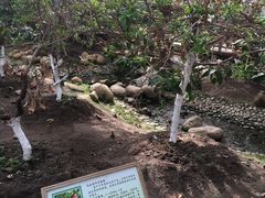 -上海都市菜园