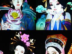 -武汉园博园(武汉自然博物馆)