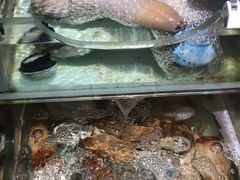 -盒马鲜生(岭南新世界店)