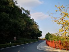 -千岛湖君澜度假酒店(文广轩中餐厅)