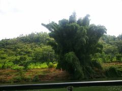 -龙潭生态旅游度假区