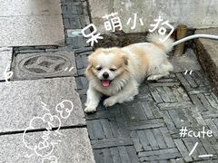 -我嘉书房(南翔名士居店)