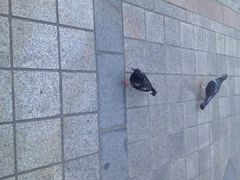 iphone_upload_pic-东大门市场