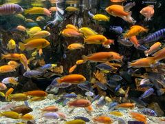 -太平洋海底世界