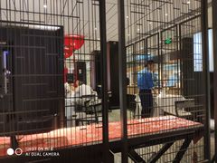 -眉州东坡(民族园店)