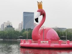 -莲花池公园