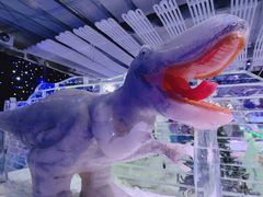 -宁波冰雪大世界(北仑区)