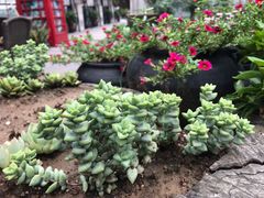 -瓦库茶馆17号(海汇港店)