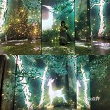 遇见敦煌,遇见九色鹿
